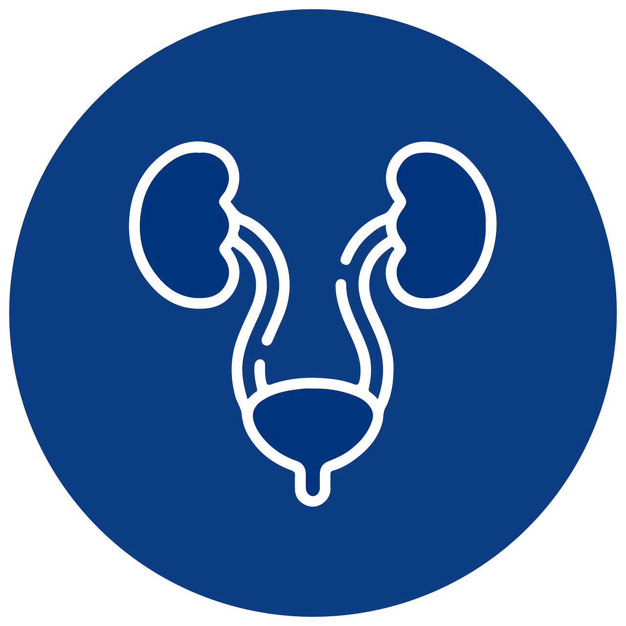 urology 7467570_1280
